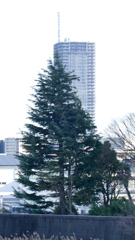 重なっている