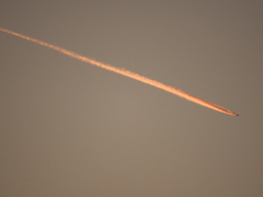 荒川土手からと奥の赤い飛行機雲をズーム