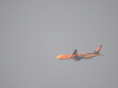 ’23新年の千住新橋上空の夕日を浴びるANA機