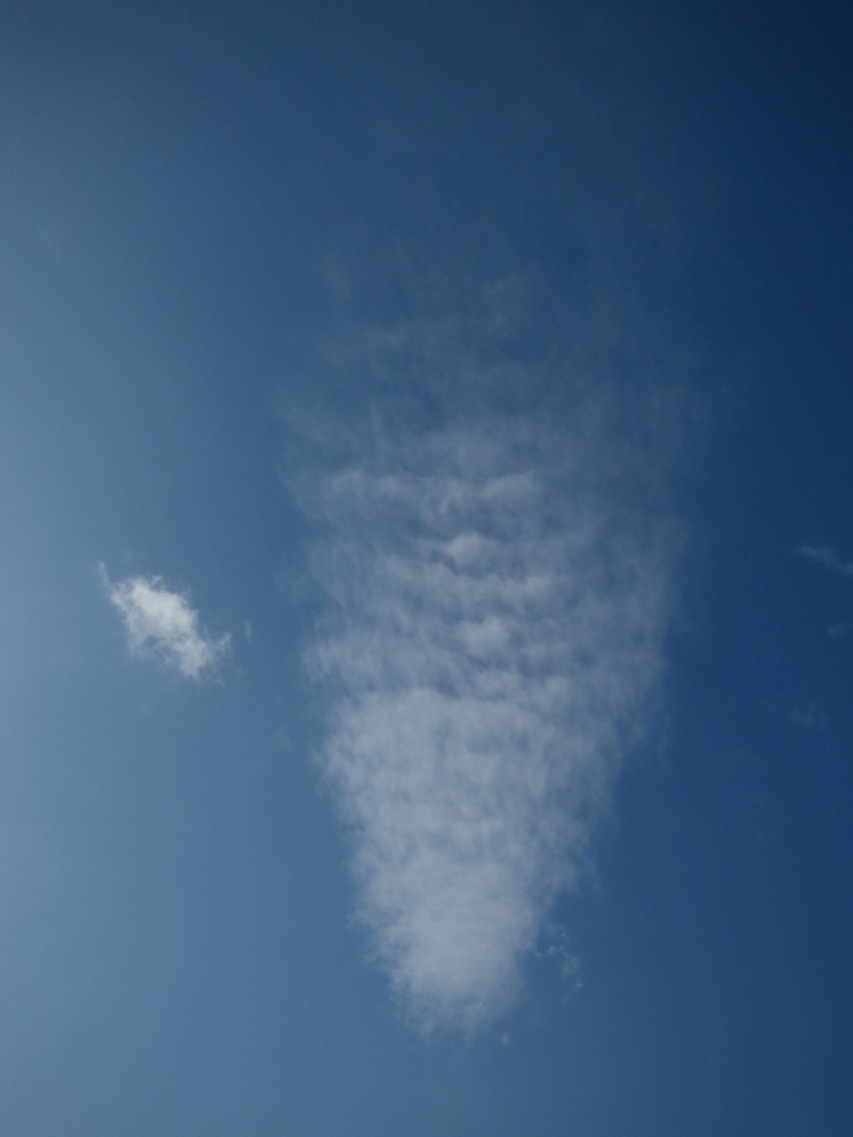晩秋の巻雲