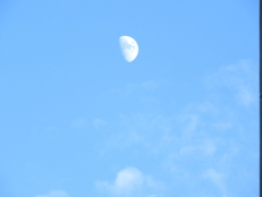 下谷の空の雲と月