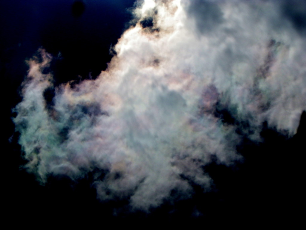 晴天の彩雲