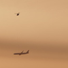 空の乗り物