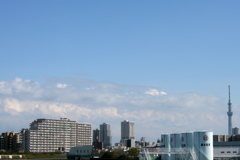 隅田川のスカイツリー左の遠い白雲の空