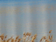 川の波のトリック