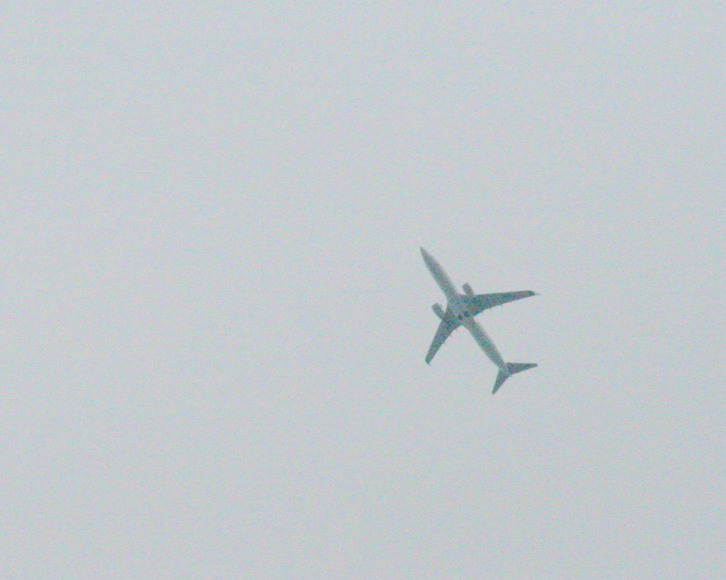 曇り空の飛翔
