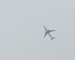 曇り空の飛翔