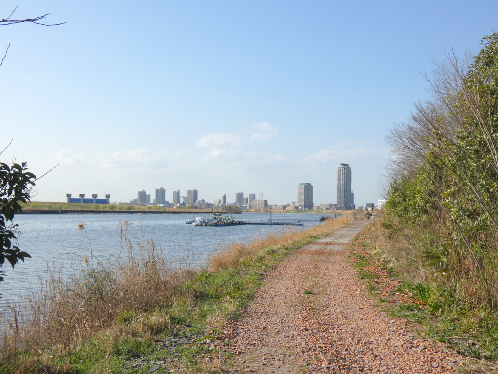 都市農業公園土手下の船宿から荒川上流風景