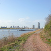 都市農業公園土手下の船宿から荒川上流風景