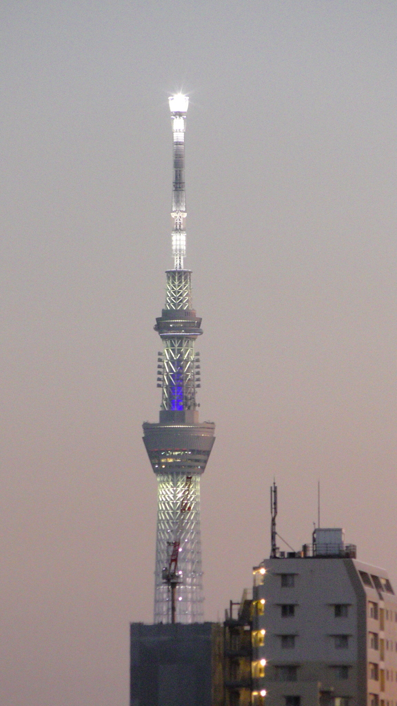 ’２３新春の荒川土手からの夜景４