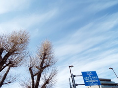 千住銀杏稲荷の放射の雲だらけの空