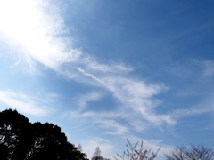 舎人公園の空
