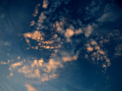 天から降りてきた海竜にも