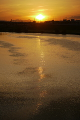 夕日と金色の荒川