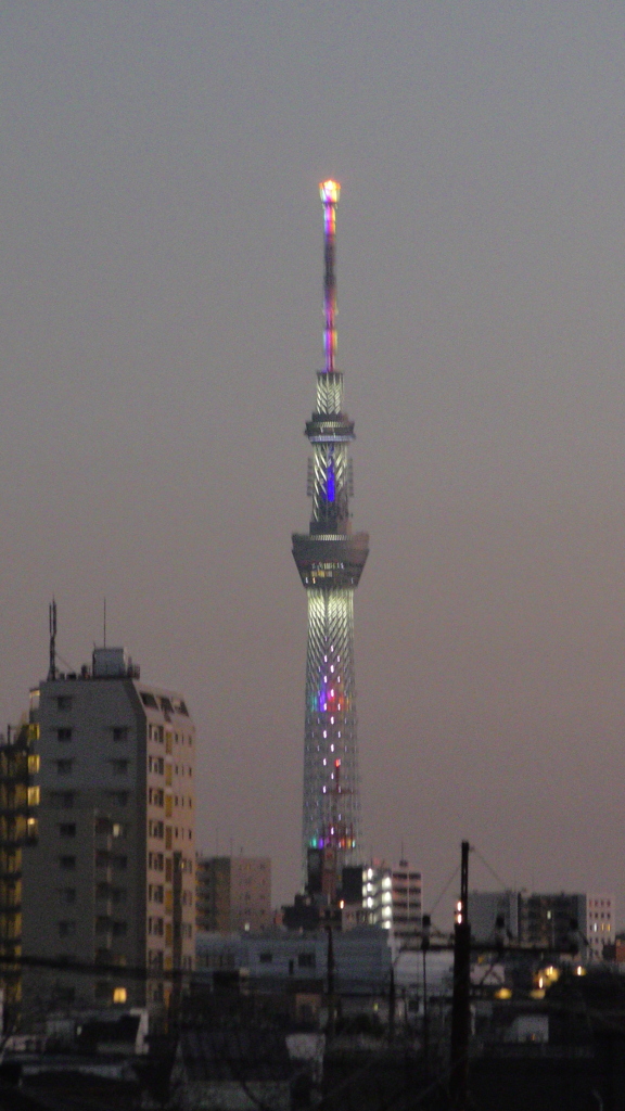 ’２３新春の荒川土手からの夜景９