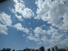 文京区のビルからの雲の風景