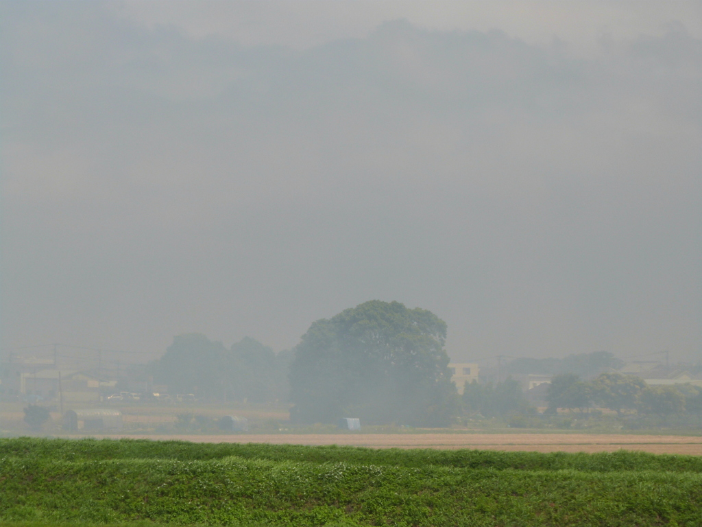 福岡空港からのバスの車窓の靄風景