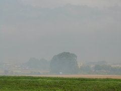 福岡空港からのバスの車窓の靄風景
