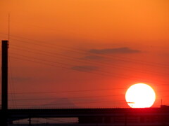 架線の上の夕日