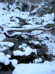 四万温泉の雪の渓流