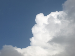 この季節の雲は、上向きの人の顔に見える入道雲が多い