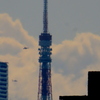 荒川土手から東京タワー
