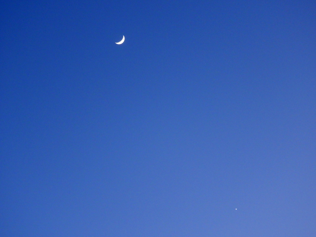 月齢4.5と宵の明星の接近