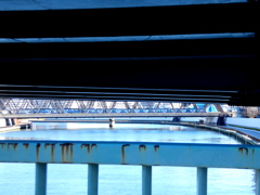 隅田川千住大橋から見えるすみだがわ橋梁と伊勢崎線スカイツリーかな