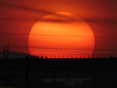 隅田川に掛かる舎人ライナーの高架の上の大きな夕日