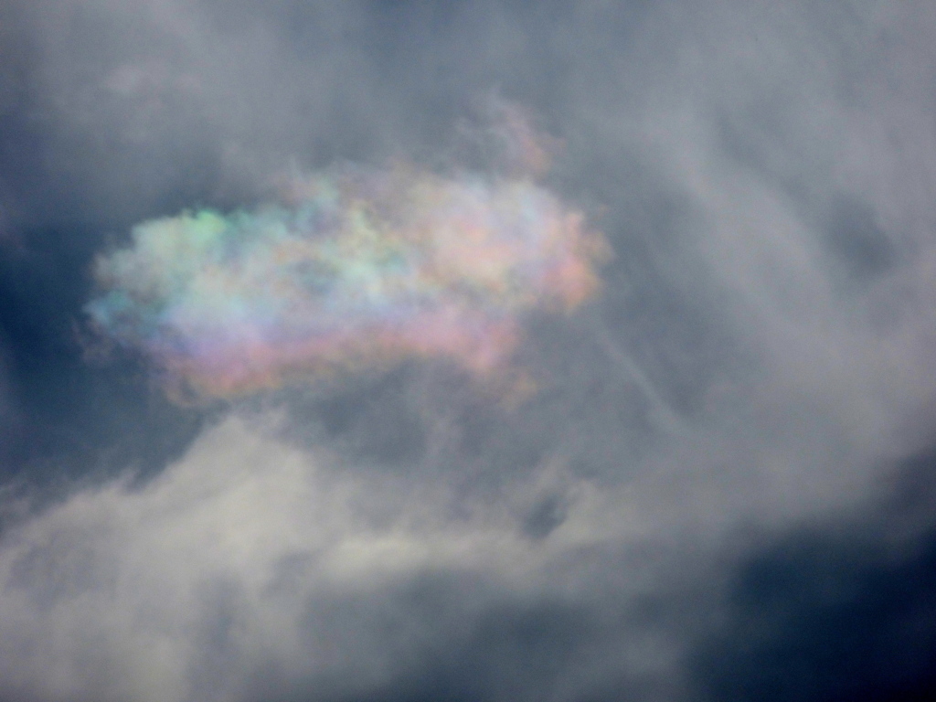 巻雲の中の彩雲