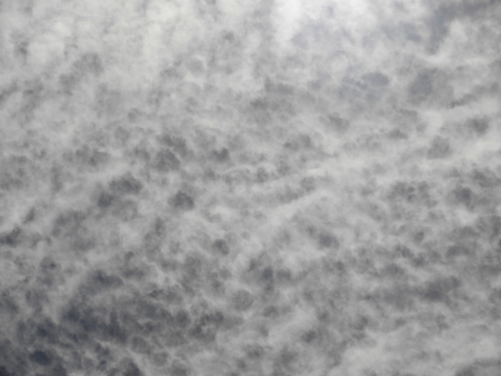 太陽近くの網状雲