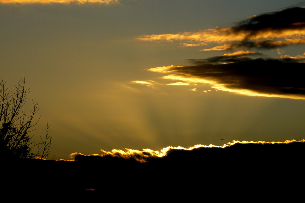 荒川土手の雲からの夕日光線