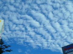 高積雲の波状雲
