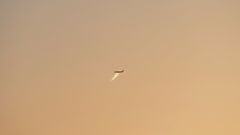 夕方の上空で