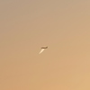 夕方の上空で