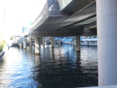 日本橋から日本橋川