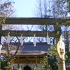 ’23元日の千住仲町の氷川神社の本殿