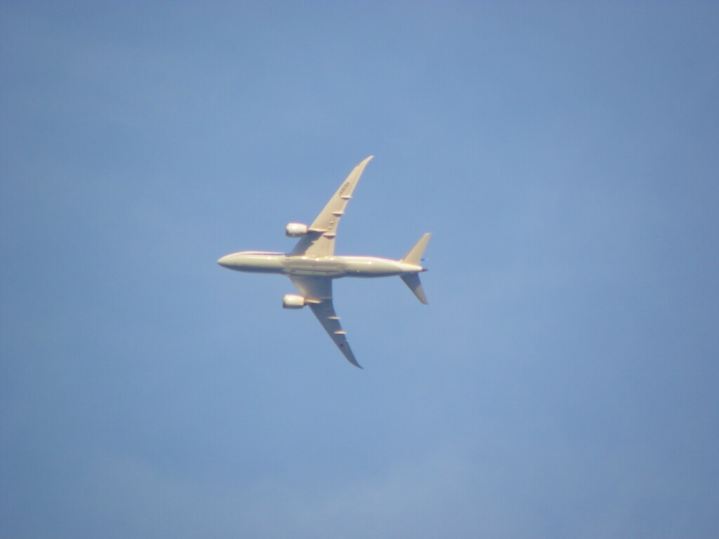 薄曇りの空に