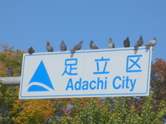 歓迎