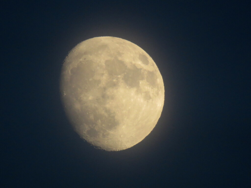 薄雲被る月齢12.0