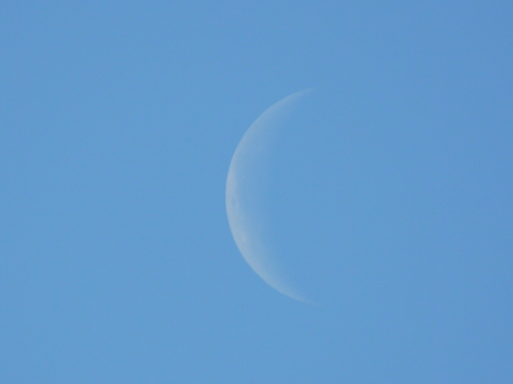 朝9時の月齢26の月