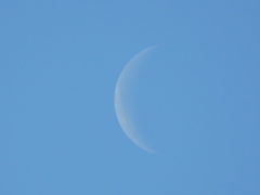 朝9時の月齢26の月