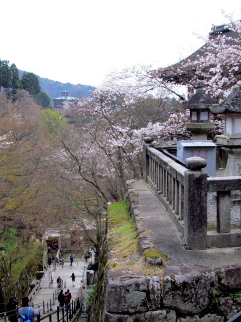 清水寺の舞台の下の階段でもOK