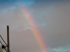 おっと！虹が！