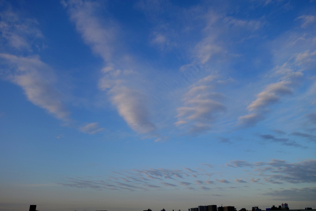 荒川土手から東の空の並んだ雲