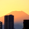 ’22元日の落日直後の富士山