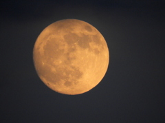 荒川土手の夕日と反対の空から登る赤い齢13.9の半夏生の月