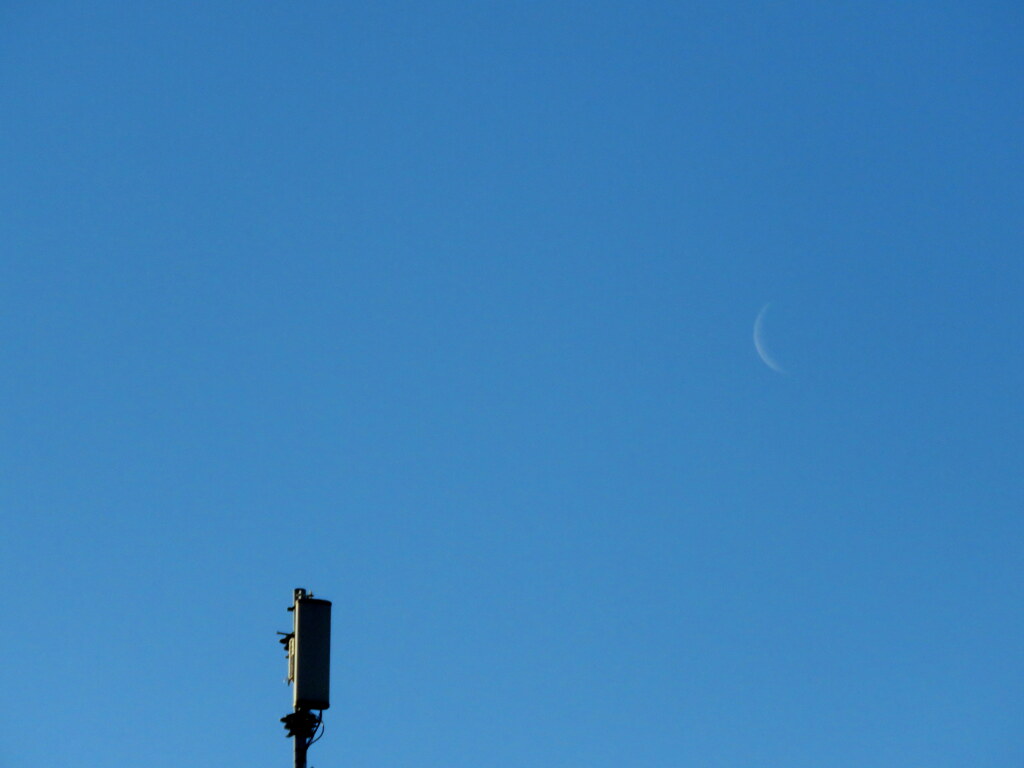 東に低くのぼる月齢26