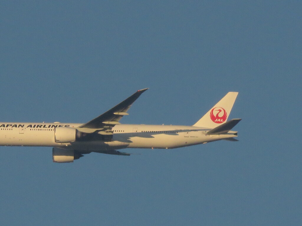 ’23元日の荒川土手上空から