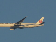 ’23元日の荒川土手上空から